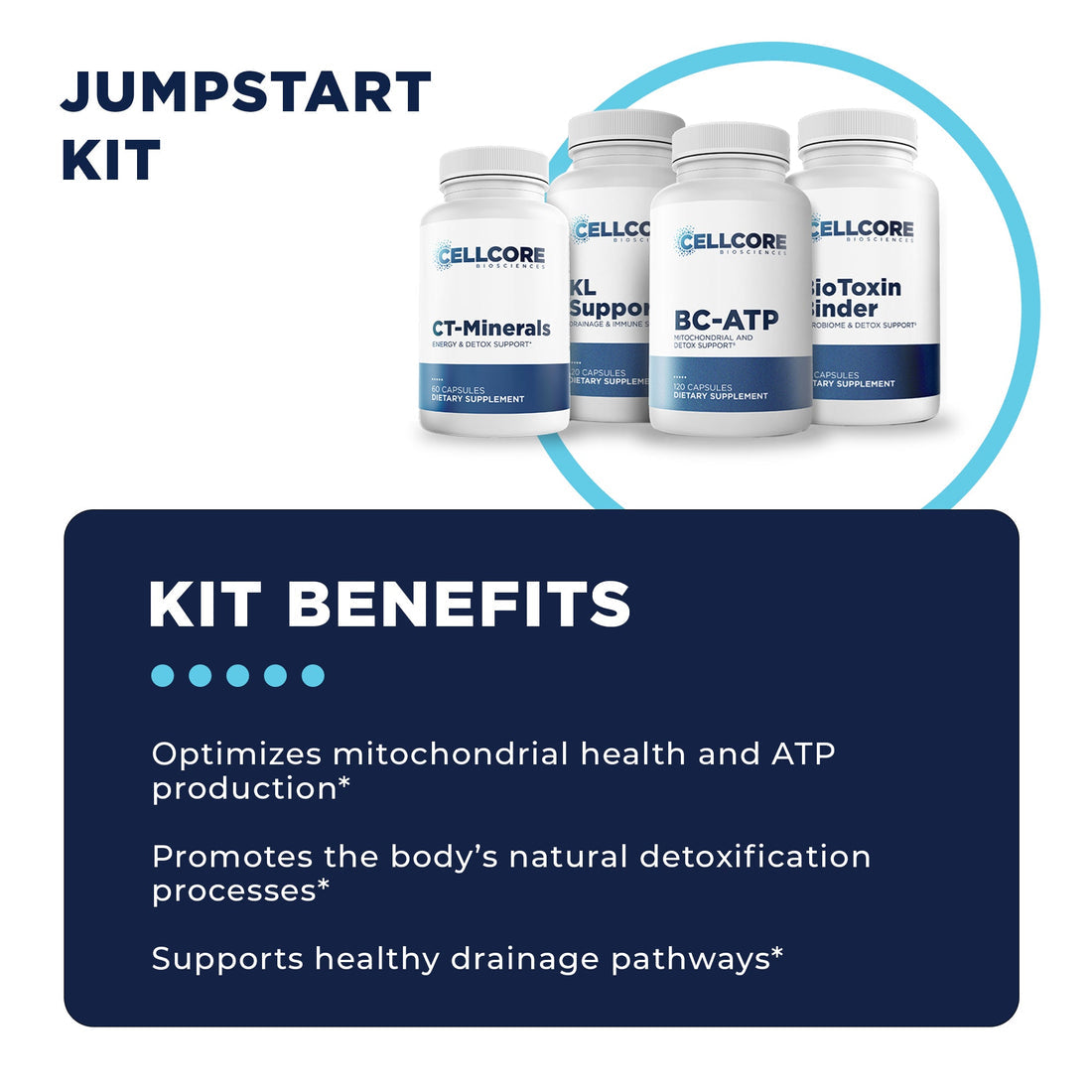 c.a. support protocol