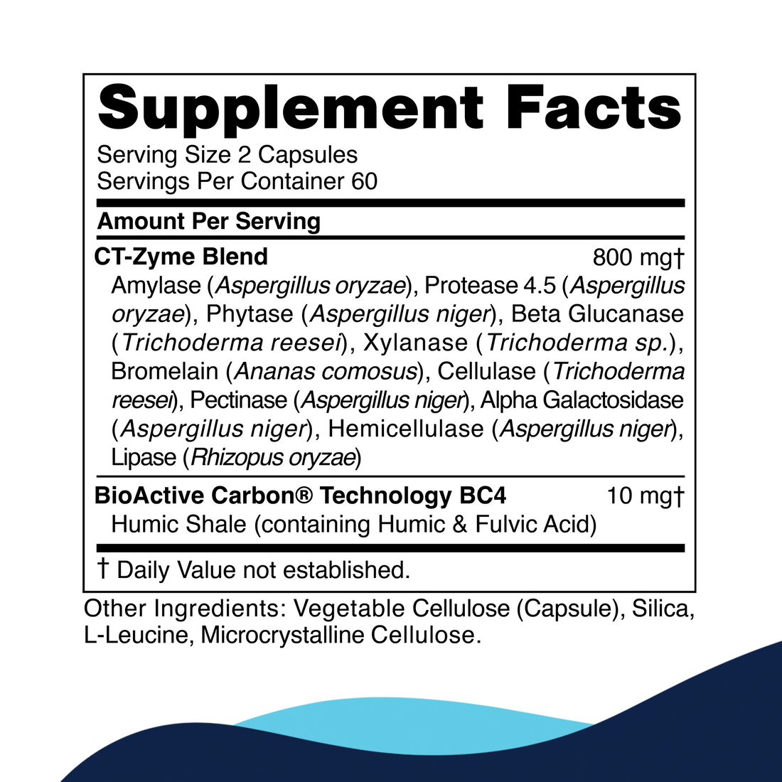 ct-zyme