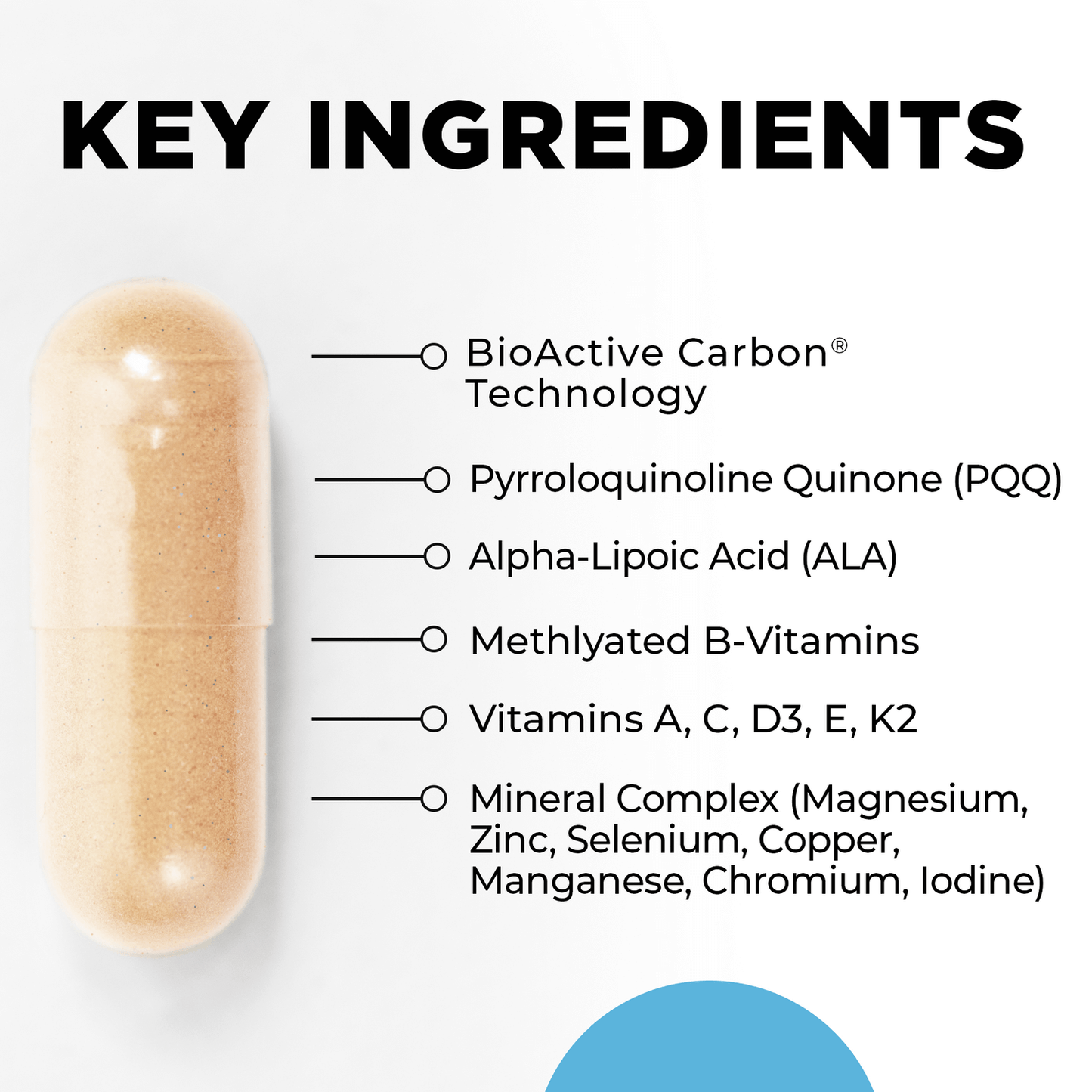 Core Nutrients ingredients list – Clean, bioavailable nutrients by CellCore