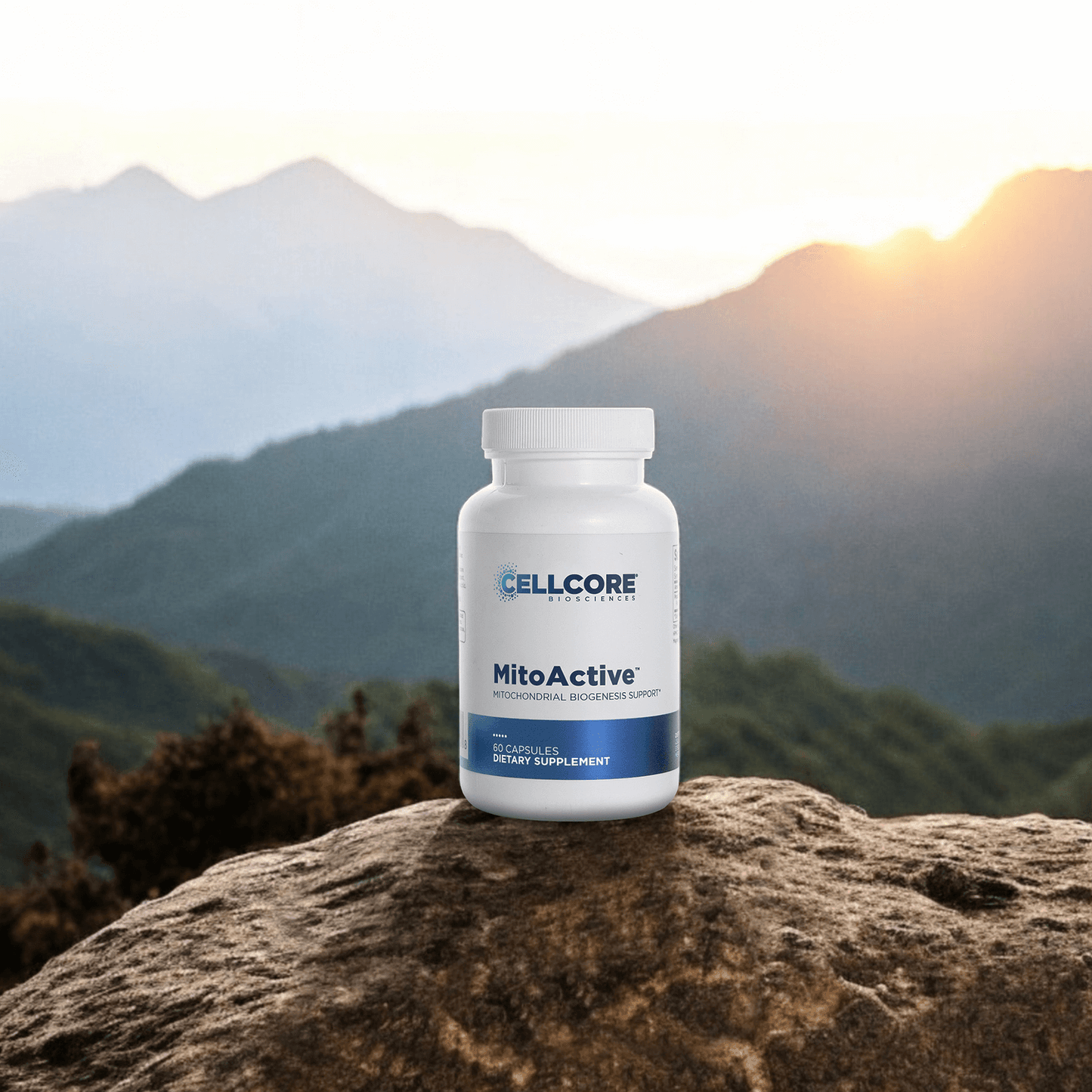 MitoActive supplement by CellCore Biosciences – Mitochondrial health support for improved energy