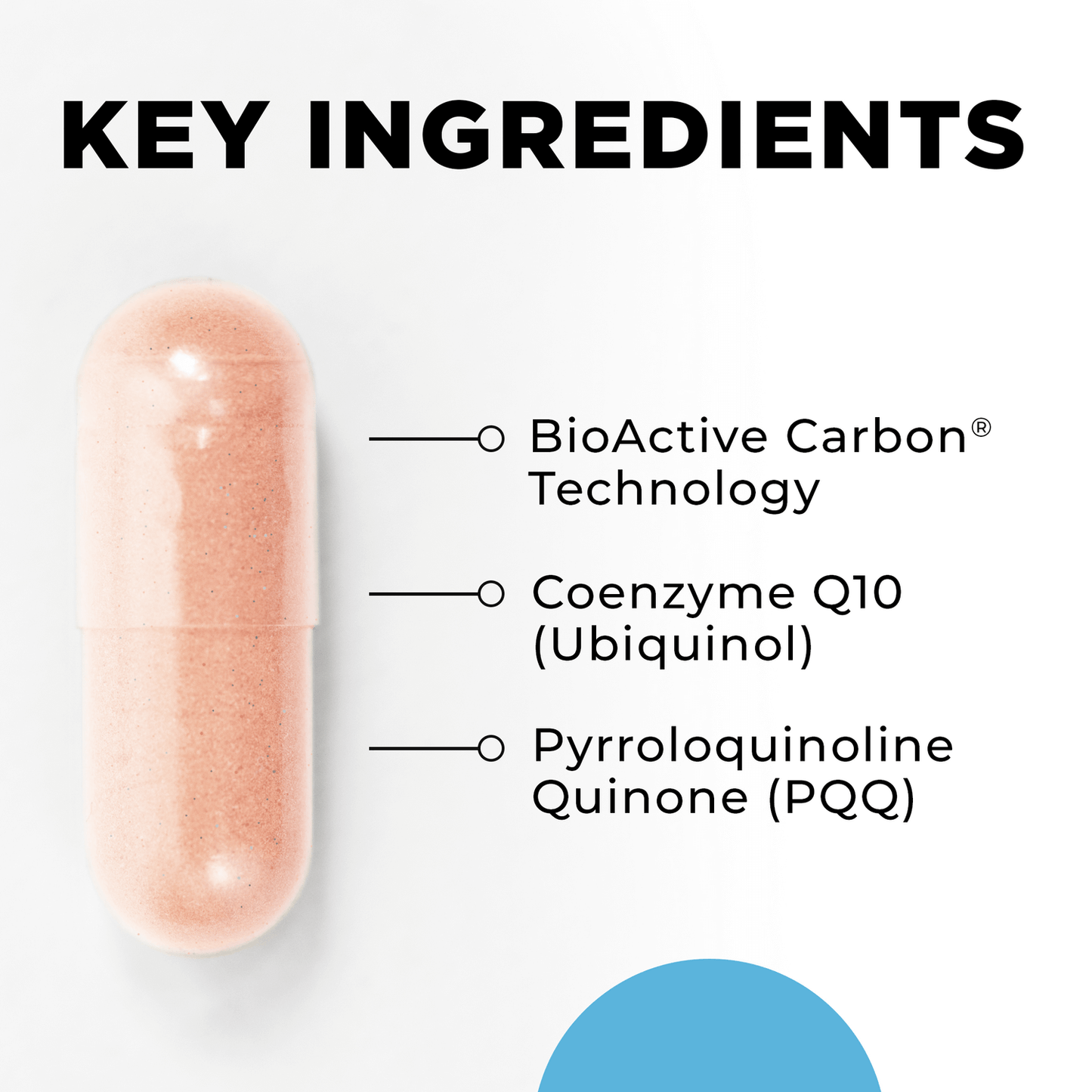 Ingredients list for MitoActive by CellCore Biosciences – Natural compounds for mitochondrial support