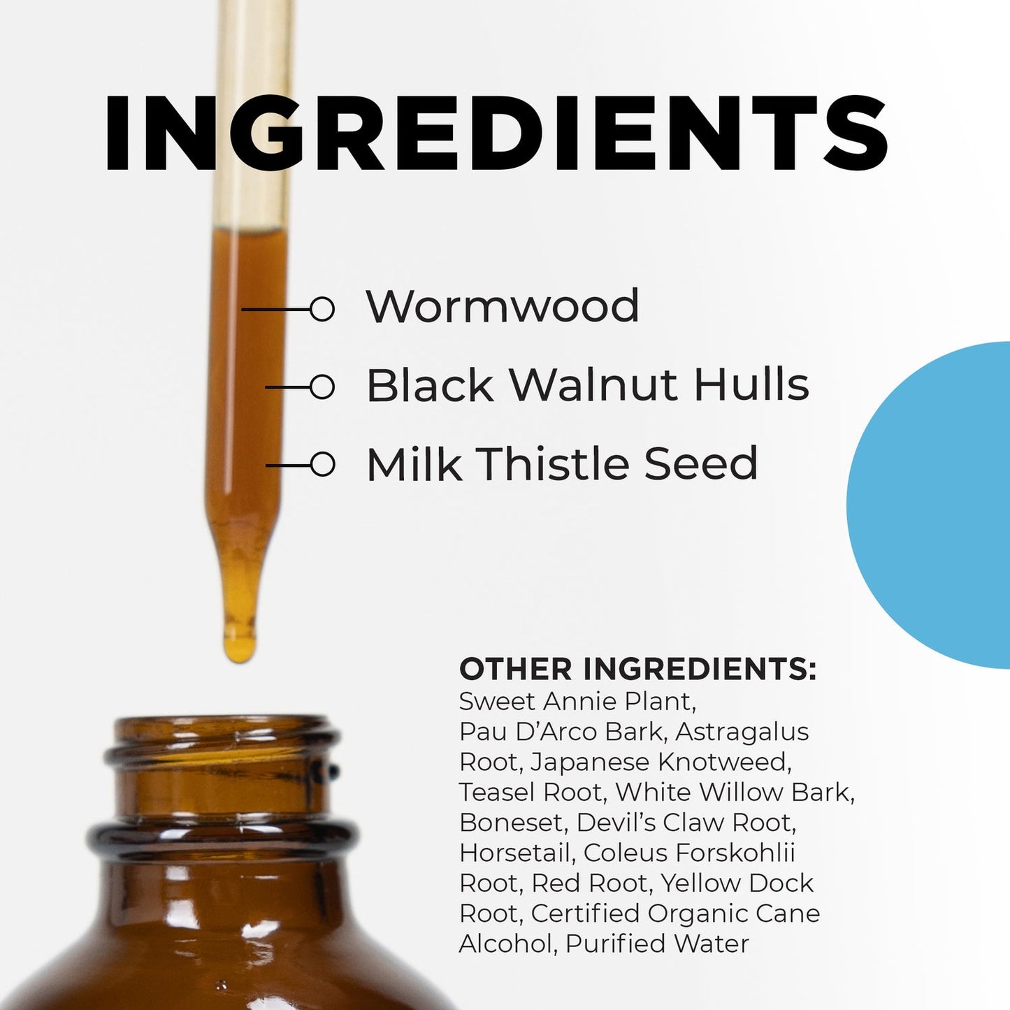 immune system supplements