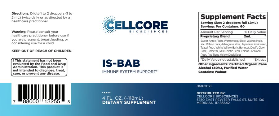 immune system supplements