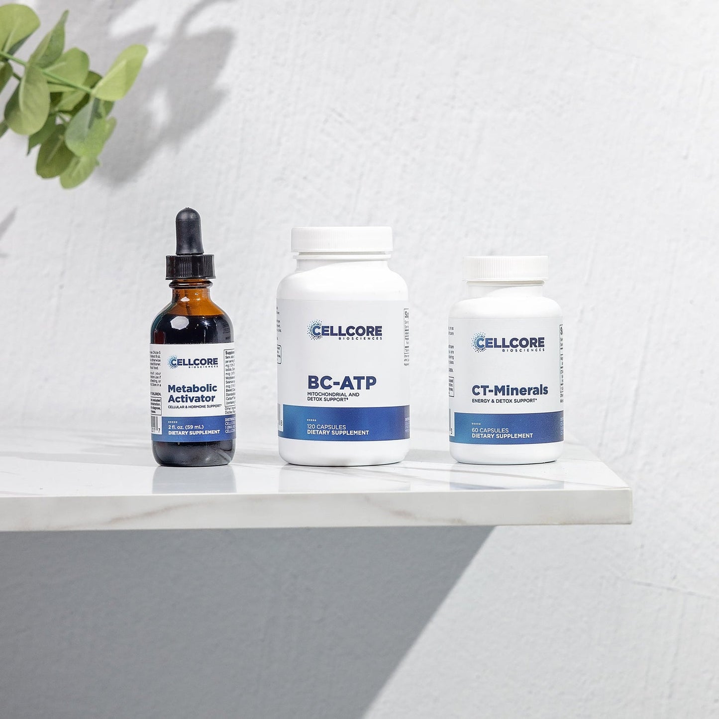 cellcore energy boost kit