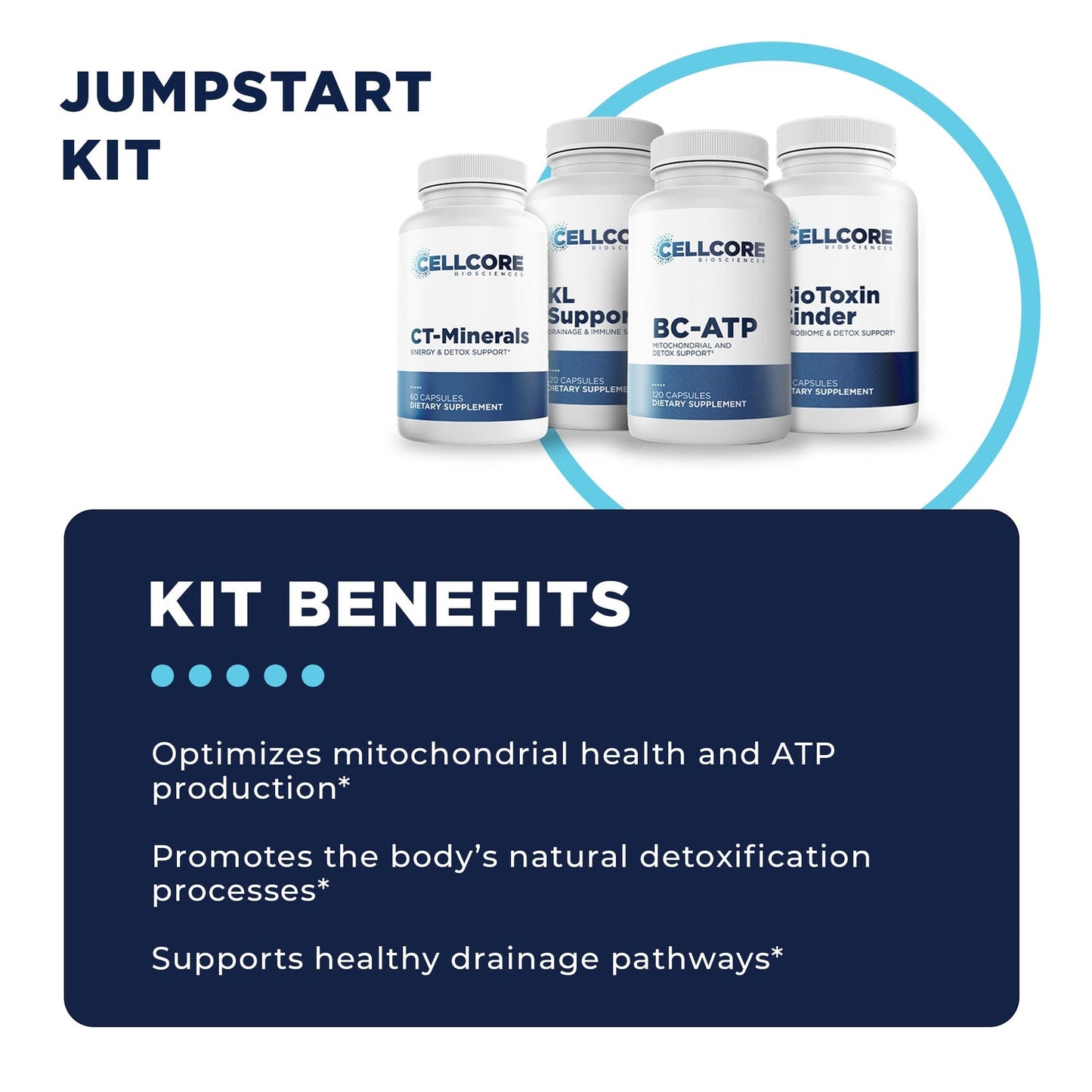 cellcore detox support protocol
