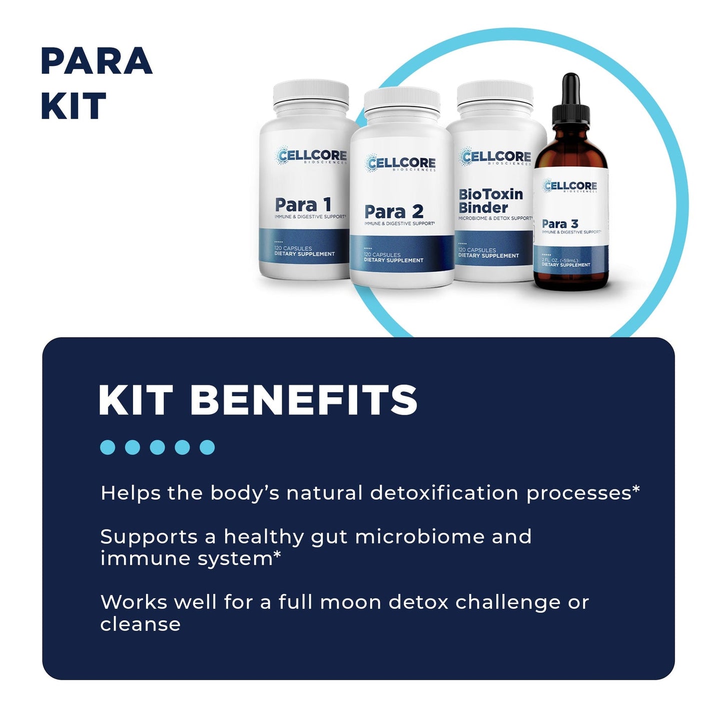 cellcore detox support protocol