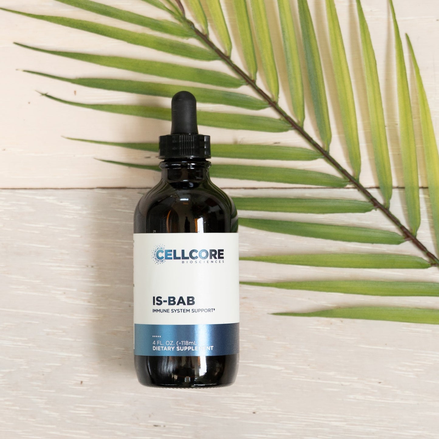 immune system supplements