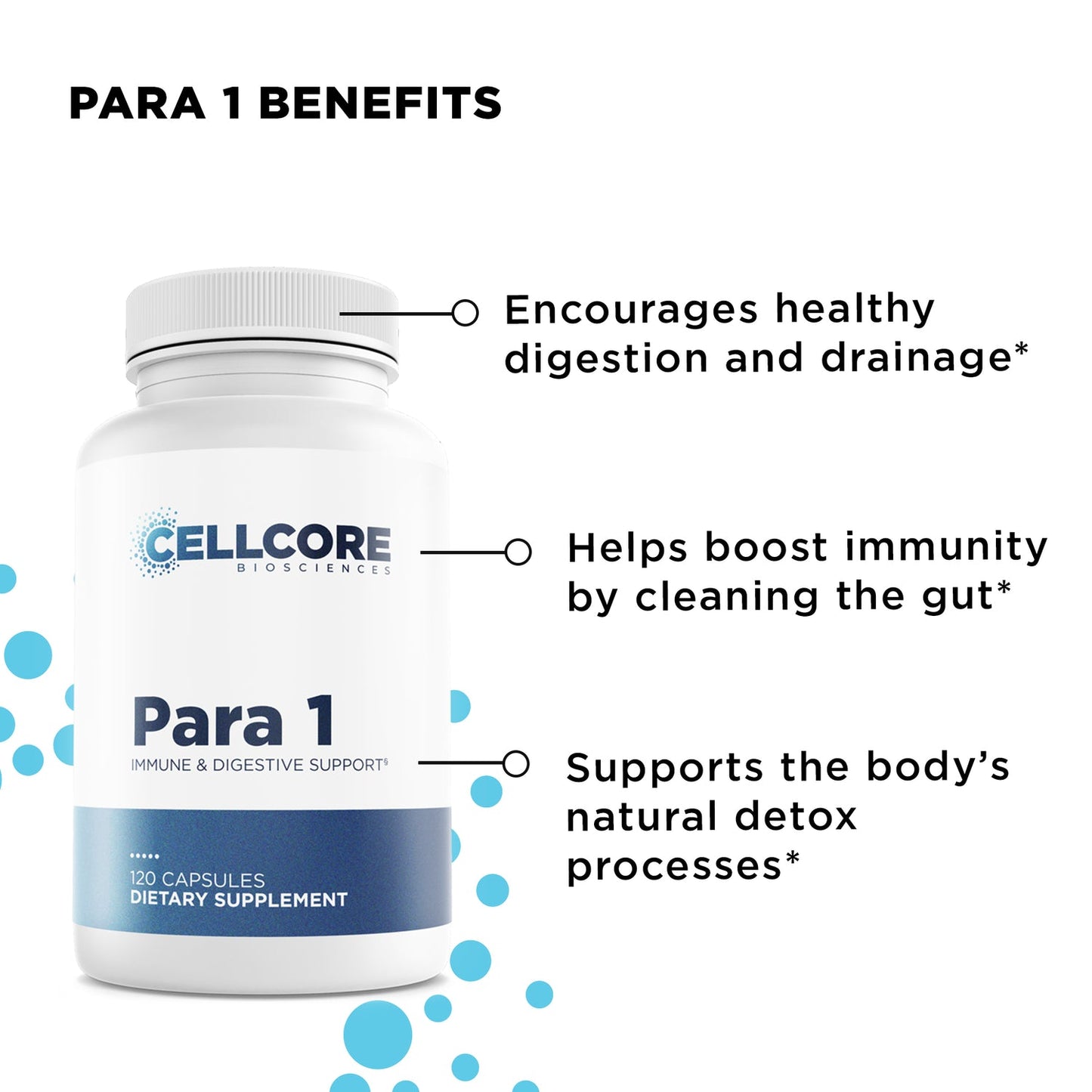 cellcore intestinal permeability kit