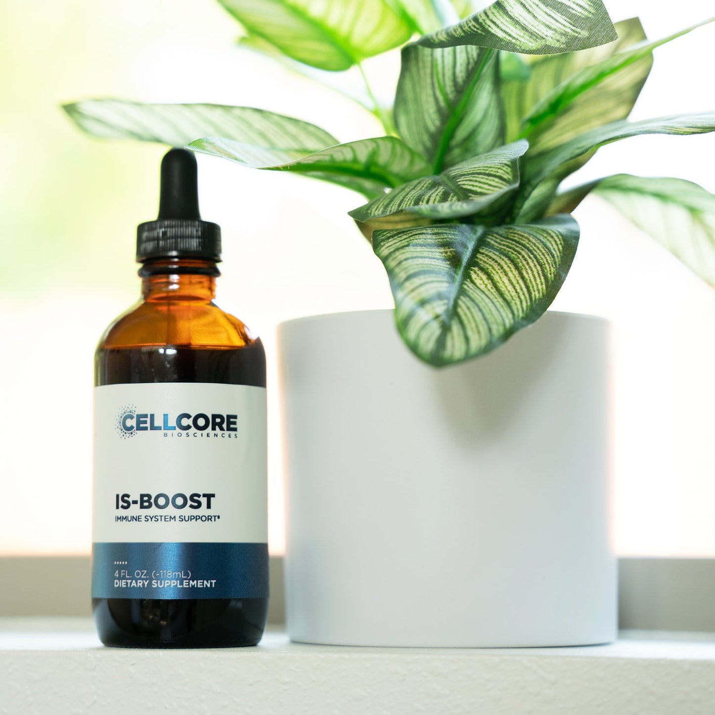 how to boost your immune system