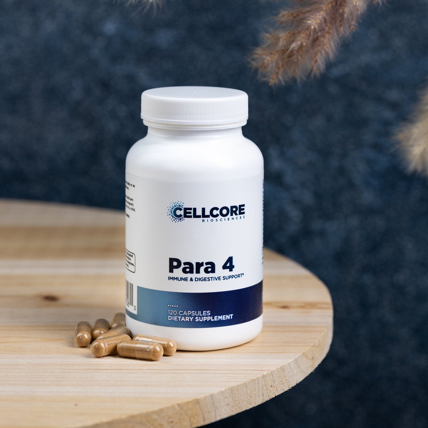 cellcore para 4