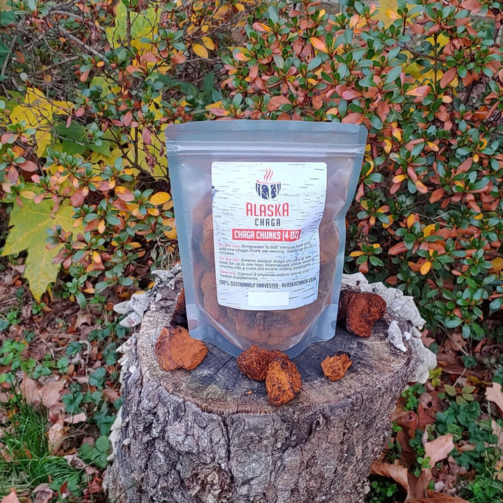 Chaga Chunks – Immune Boost Naturals