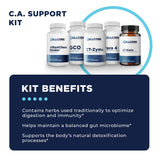 c.a. support protocol