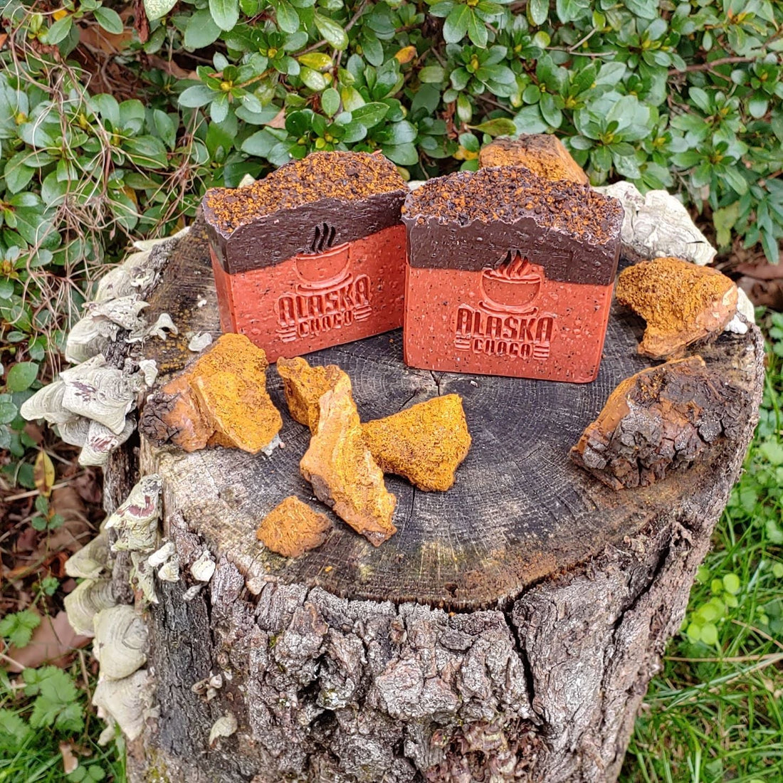 Alaska Chaga Soap