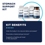 cellcore stomach support protocol