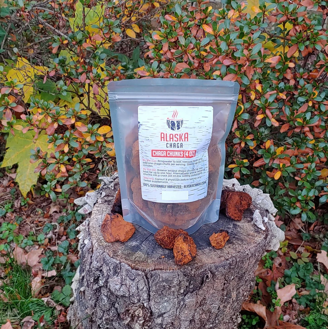 Alaska Chaga Chunks