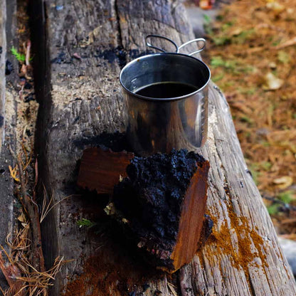 Alaska Chaga Chunks