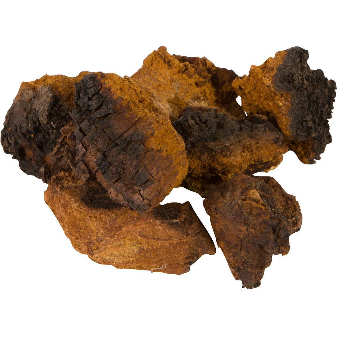 Alaska Chaga Chunks