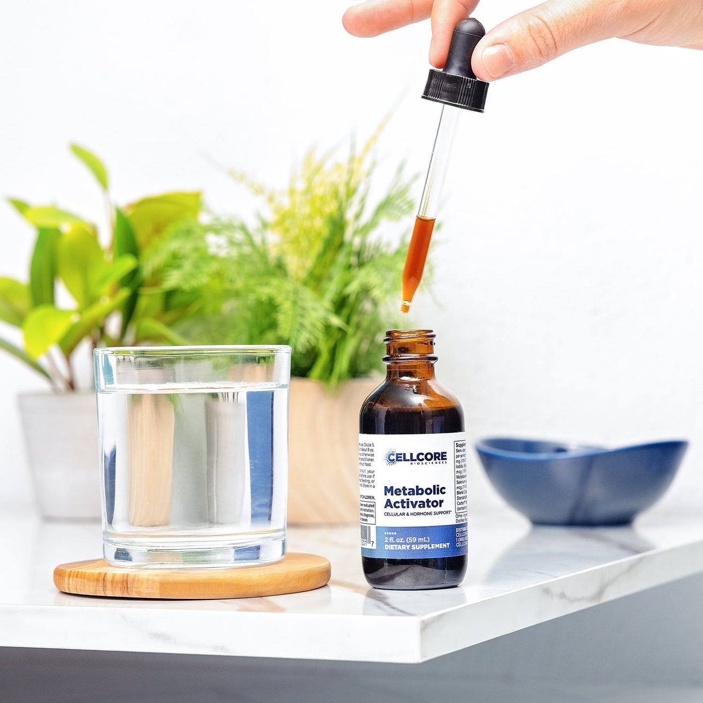 metabolic activator